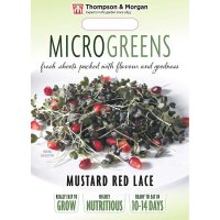 Thompson & Morgan Microgreens Mustard Red Lace