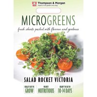 Thompson & Morgan Microgreens Salad Rocket Victoria