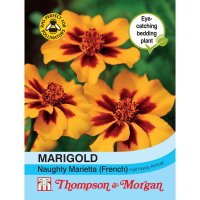 Thompson &  Morgan Marigold Naughty Marietta (French)