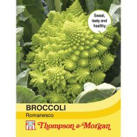 Thompson & Morgan Broccoli Romanesco