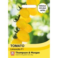 Thompson & Morgan Tomato 'Limoncito' F1 Hybrid