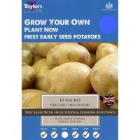 Taylors Rocket First Early Seed Potatoes - 10 Bubls