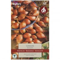Taylors Longor Shallots - 10 Bulbs