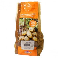 Taylors Kestrel Second Early Seed Potatoes - 2kg Carry Net