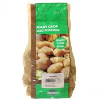 Taylors Desiree Main Crop Seed Potatoes - 2kg Carry Net