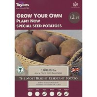 Taylors Sarpo Mira Main Crop Seed Potatoes - 8 Bulbs