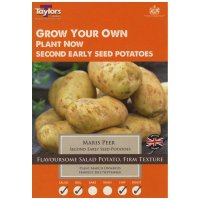 Taylors Maris Peer Second Early Seed Potatoes - 10 Bulbs
