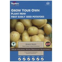 Taylors Maris Bard First Early Seed Potatoes - 10 Bulbs