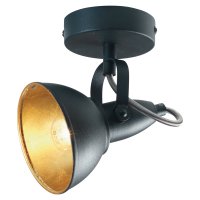 Oaks Lighting Jurva Urban Single Spot Light Black