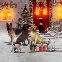 SnowTime Battery Operated Fibre Optic Canvas 40 x 40cm - Frolicking Dogs