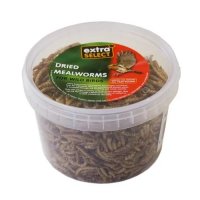 Extra Select Mealworms - 500g