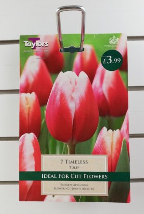 Taylors Timeless Tulips - 7 Bulbs