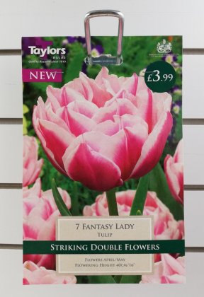 Taylors Fantasy Lady Tulips - 7 Bulbs