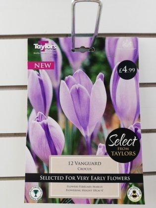 Taylors Vanguard Crocus - 12 Bulbs