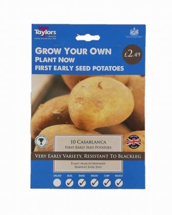 Taylors Casablanca First Early Seed Potatoes - 10 Bulbs