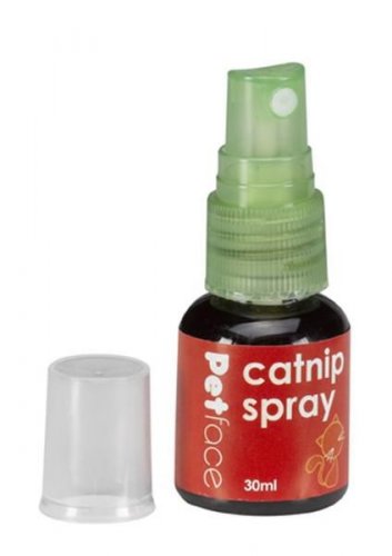 Petface Catkins Catnip Spray