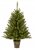 Premier Decorations 90cm California Spruce In Pot