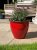 Creekwood Running Glaze Planter 30cm - Red