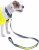 Petface Bright & Safe Reflective Lead