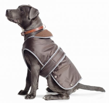 Ancol Chocolate Stormguard Dog Coat - XXL