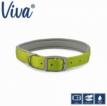 Ancol Padded Lime Dog Collar - Small