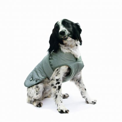 Ancol Ultimate Reflective Dog Coat - Small