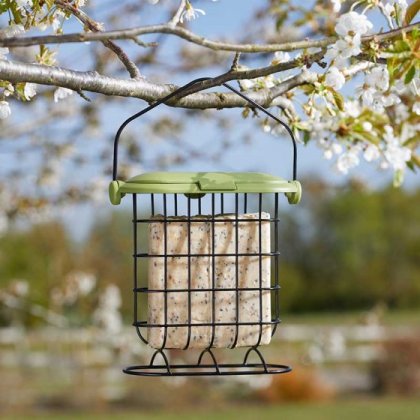 ChapelWood Click Lock Suet Cake Feeder