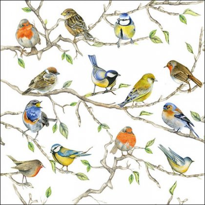 Ambiente 3 Ply Napkin Birds Meeting FSC Mix