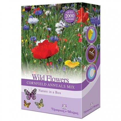 Thompson & Morgan Wild Flowers Cornfield Annuals Mix