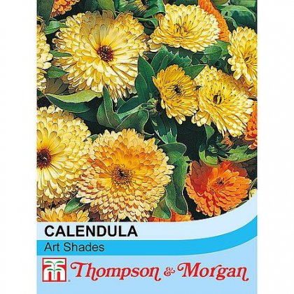 Thompson & Morgan Calendula Art Shades