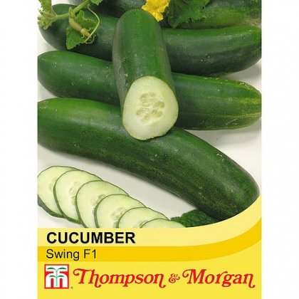 Thompson & Morgan Cucumber Swing F1 Hybrid