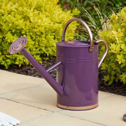 Smart Garden GroZone Watering Can 9lt - Violet