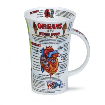 Dunoon Glencoe Shape Fine Bone China Mug - Organs of Human Body