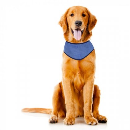 Zoon Uber-Activ Cooling Bandana Small/Medium