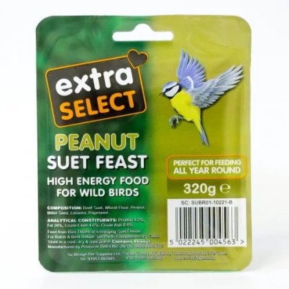 Extra Select Peanut Suet Block - Peanut