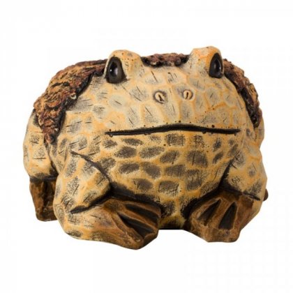 Flamboya Woodland Frog Planter