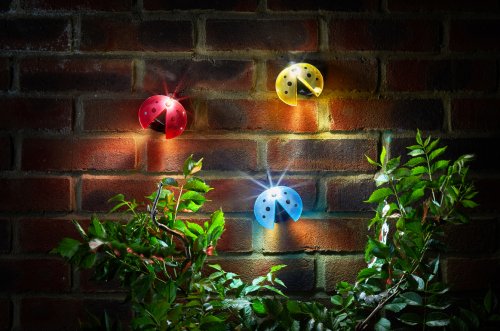 Smart Garden Solar Lady Bug Light - Assorted