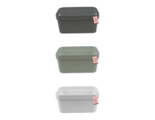 StoreSmart Plastic Storage Box with Handles - 4.8L - Assorted