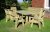 Churnet Valley Ergo 8 Seater Table Set - 2 Chairs & 2 Benches