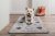 Pet Rebellion Stop Muddy Paws XL Barrier Rug 57 x 110cm - Country Walk