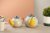 Siip Colour Block 2 Cup Teapot