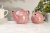 Siip Ditsy Floral 2 Cup Teapot - Pink