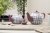 Siip Gingham 2 Cup Teapot - Purple