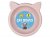 Kingdom Cat Bowls 2pk - Trend 17cm - Assorted