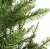 Premier Decorations 1.5M Slim California Tree