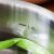 Stellar Stay Cool Draining Saucepan 16cm/1.1lt