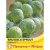 Thompson & Morgan Brussels Sprout Brilliant F1 Hybrid