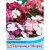 Thompson & Morgan Sweet William kaleidoscope Mixed