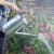 Smart Garden GroZone Watering Can 9lt - Galvanised Steel