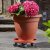Smart Garden Pot Caddy 29cm Tan